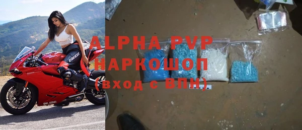 ГАЛЛЮЦИНОГЕННЫЕ ГРИБЫ Корсаков