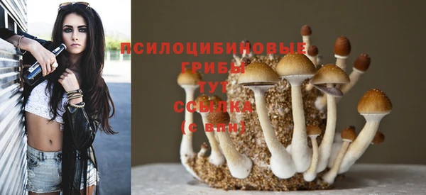 ГАЛЛЮЦИНОГЕННЫЕ ГРИБЫ Корсаков