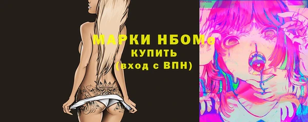 трава Коряжма