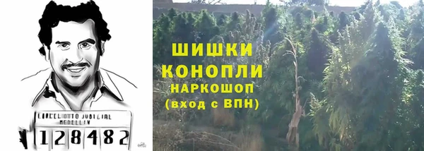 ГАЛЛЮЦИНОГЕННЫЕ ГРИБЫ Корсаков