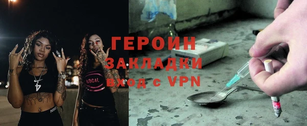 трава Коряжма