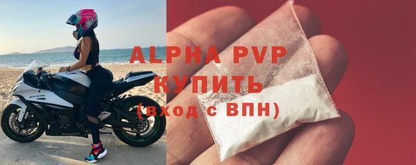 трава Коряжма