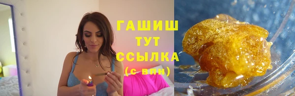 трава Коряжма