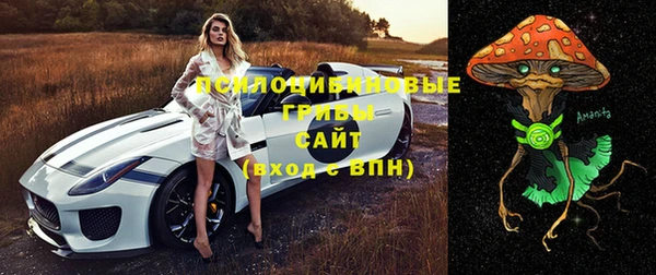 трава Коряжма