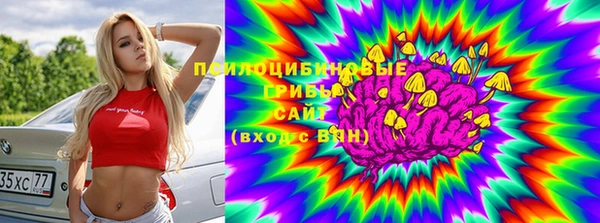 ГАЛЛЮЦИНОГЕННЫЕ ГРИБЫ Корсаков