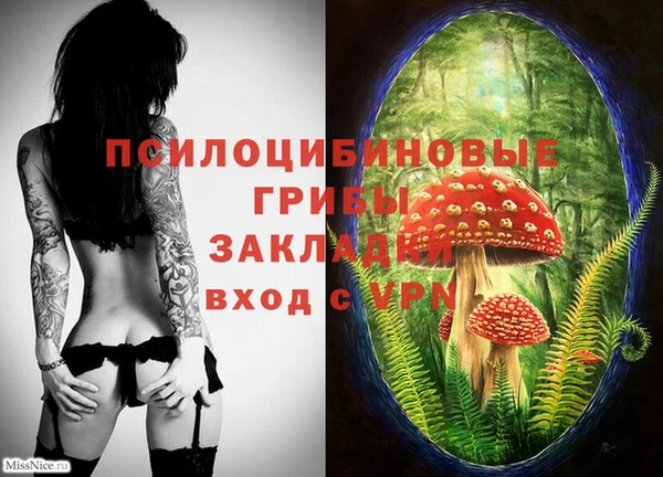 трава Коряжма