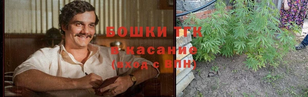 ГАЛЛЮЦИНОГЕННЫЕ ГРИБЫ Корсаков