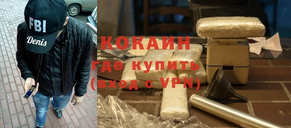 ГАЛЛЮЦИНОГЕННЫЕ ГРИБЫ Корсаков