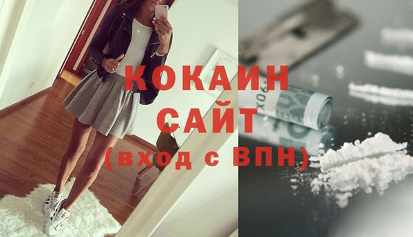 ГАЛЛЮЦИНОГЕННЫЕ ГРИБЫ Корсаков
