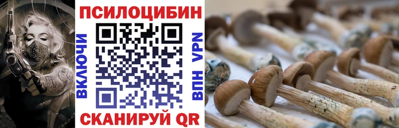 Купить где Владикавказ Псилоцибиновые грибы ЛСД