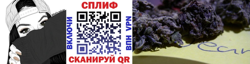 Купить закладки  Владикавказ  Бошки Шишки White Widow 